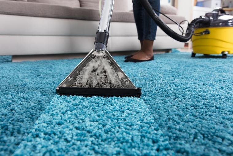 Entreprise de nettoyage et entretien des tapi